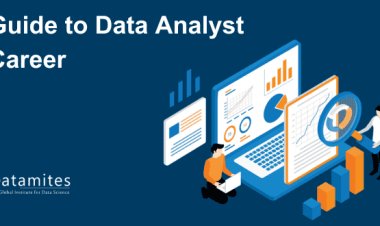 Guide to Data Analyst Career
