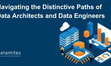 Navigating the Distinctive Paths of Data Architects and Data Engineers