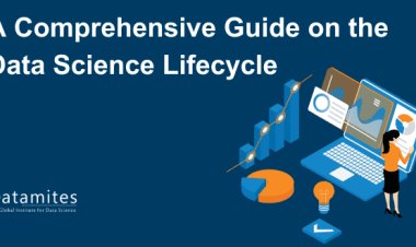 A Comprehensive Guide on the Data Science Lifecycle