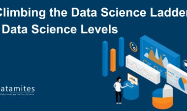 Climbing the Data Science Ladder - Data Science Levels