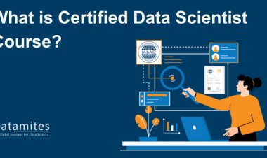 What is Certified Data Scientist Course?