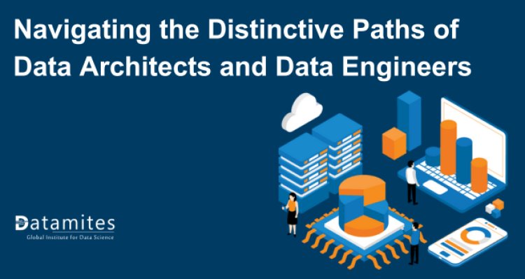 Navigating the Distinctive Paths of Data Architects and Data Engineers