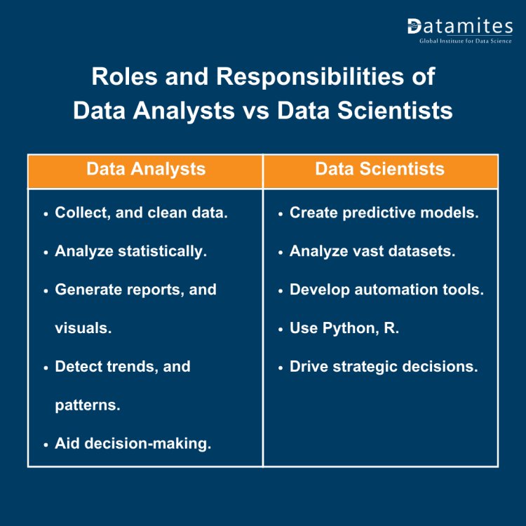 Roles and Responsibilities of Data Analysts vs Data Scientists in 2024