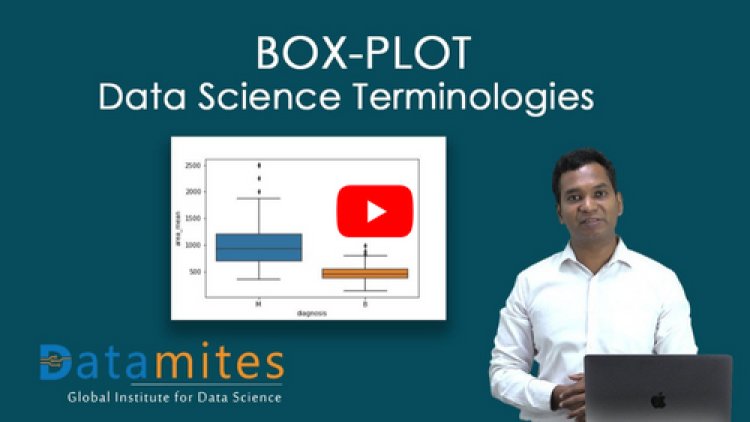 What is Box Plot