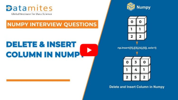 Numpy Delete function and Insert function