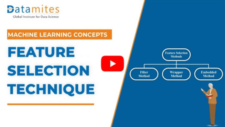 Feature Selection Techniques Explained