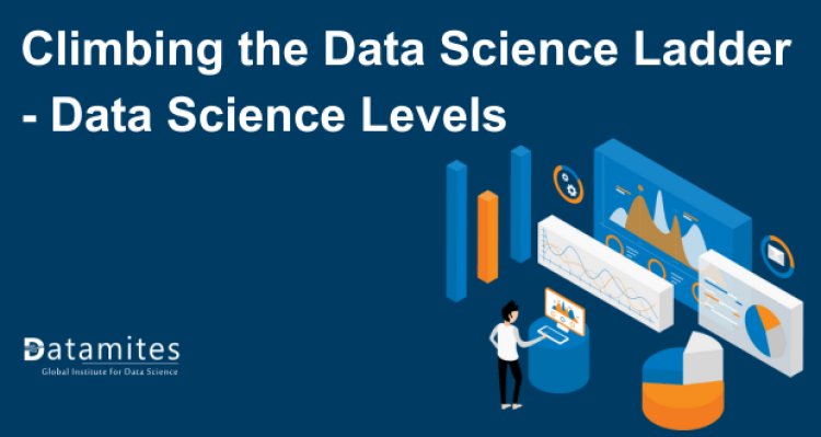 Climbing the Data Science Ladder - Data Science Levels