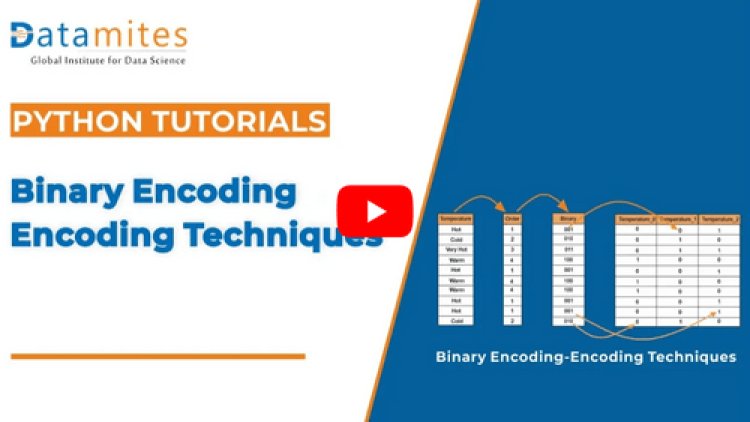 Encoding Techniques in Machine Learning