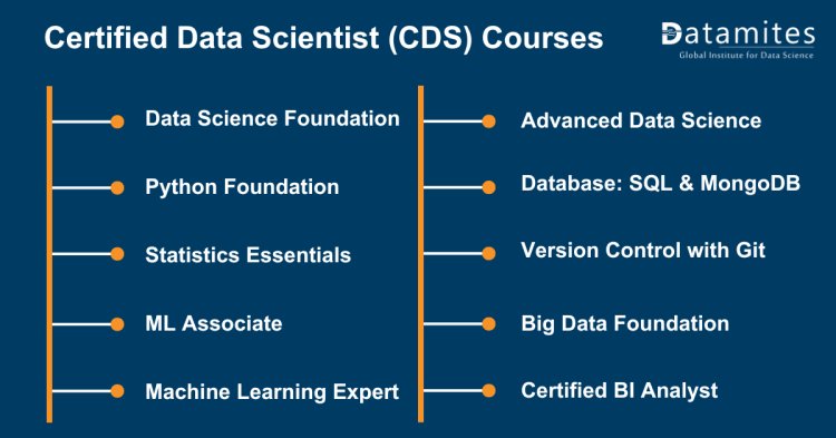 What Is Certified Data Scientist Course DataMites Offical Blog