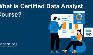 What is Datamites Certified Data Analyst Certification Course?