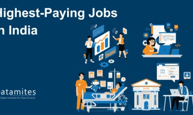 Highest Paying Jobs in India: Career Opportunities and Insights