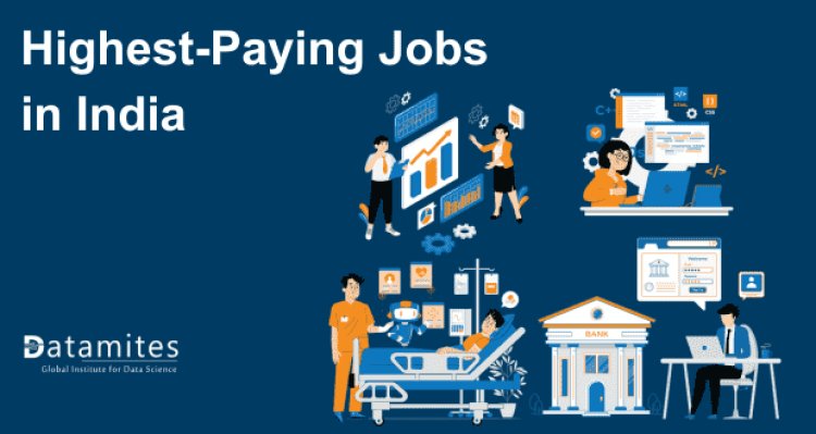 Highest Paying Jobs in India: Career Opportunities and Insights