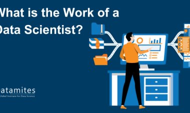 What is the Work of a Data Scientist?