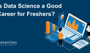 Is Data Science a Good Career for Freshers?