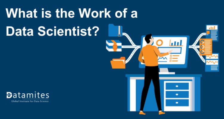 What is the Work of a Data Scientist?