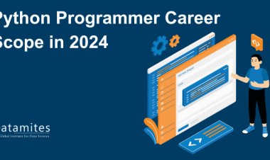 Python Programmer Career Scope in 2024