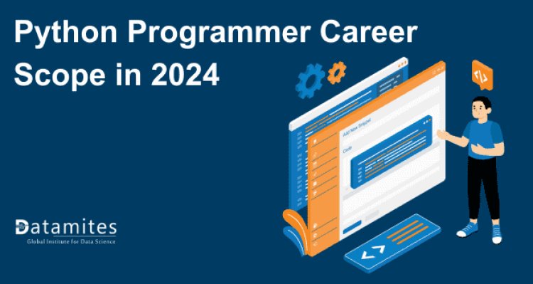 Python Programmer Career Scope in 2024