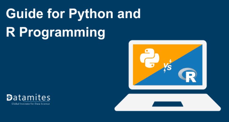 Comprehensive Guide for Python and R Programming