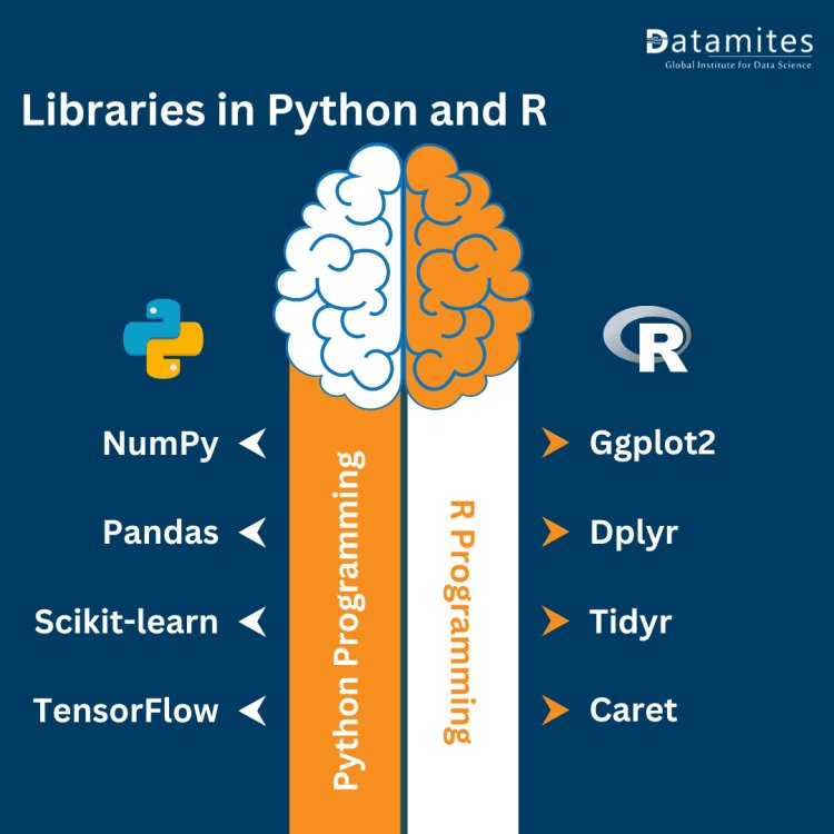 Libraries in Python and R