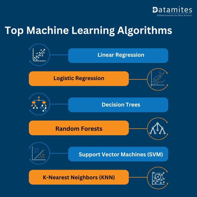 Top Machine Learning Algorithms