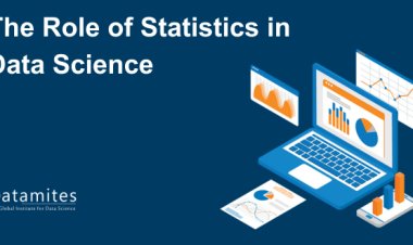 The Role of Statistics in Data Science