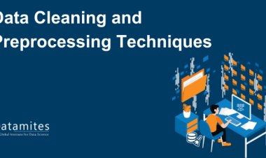 Basic Data Cleaning and Preprocessing Techniques
