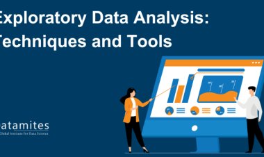 Exploratory Data Analysis: Techniques and Tools