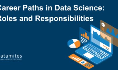 Career Paths in Data Science: Roles and Responsibilities