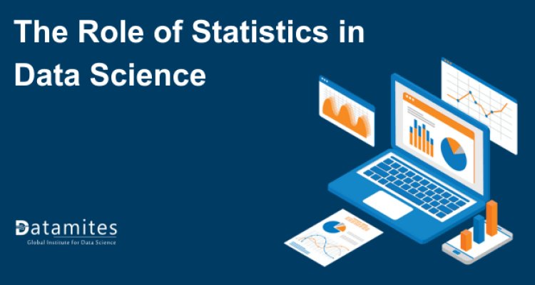 The Role of Statistics in Data Science