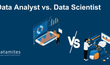 Data Analyst vs. Data Scientist: Understanding the Roles and Responsibilities