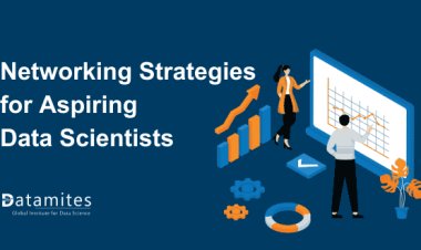 Networking Strategies for Aspiring Data Scientists