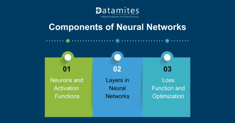 Key Components of Neural Networks