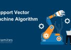 Support Vector Machine Algorithm (SVM) – Understanding Kernel Trick