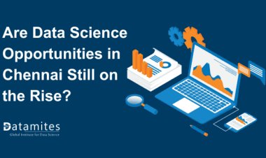 Are Data Science Opportunities in Chennai Still on the Rise?