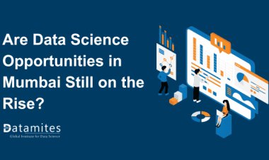 Are Data Science Opportunities in Mumbai Still on the Rise?