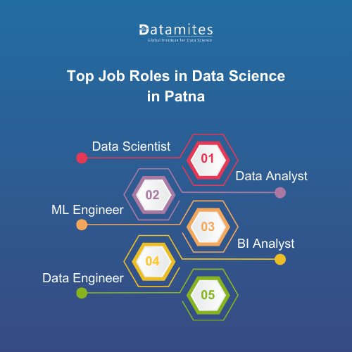 Top Job Roles in Data Science