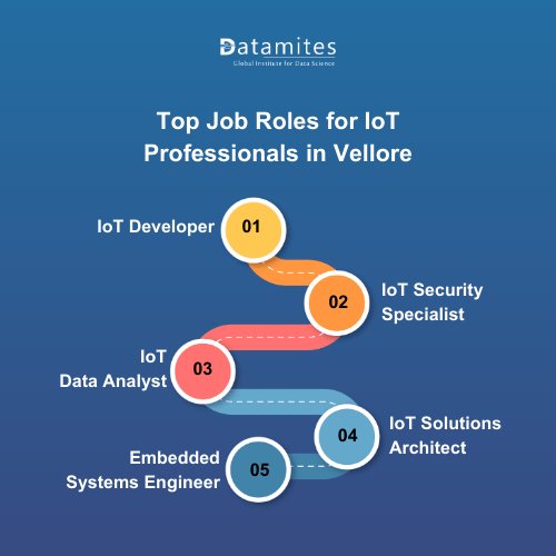 Top Job Roles for IoT Professionals in Vellore