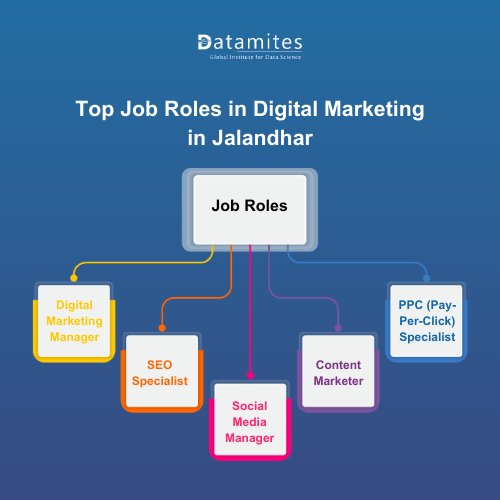 Top Job Roles in Digital Marketing in Jalandhar