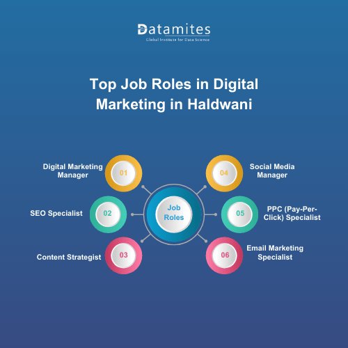 Top Job Roles in Digital Marketing in Haldwani