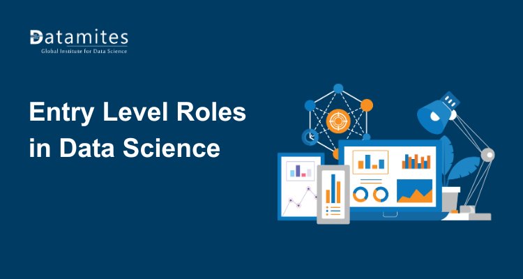 What Are the Entry Level Roles in Data Science