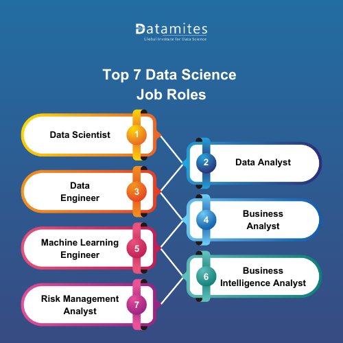 Top 7 Data Science Job Roles