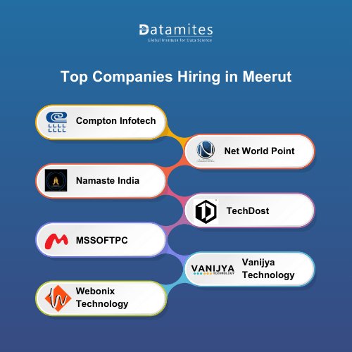 What are the Top Companies in Meerut?