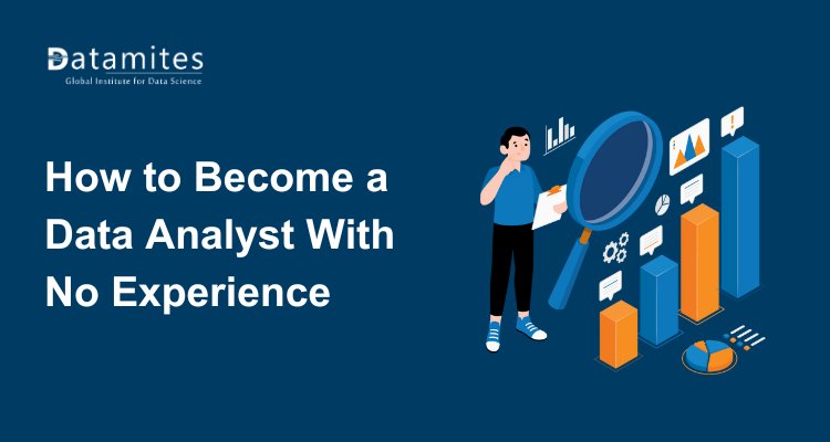 How to Become a Data Analyst With No Experience