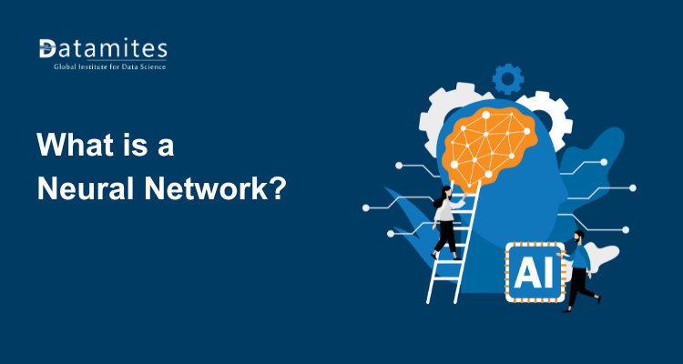 What Is a Neural Network? Understanding Deep Learning Basics