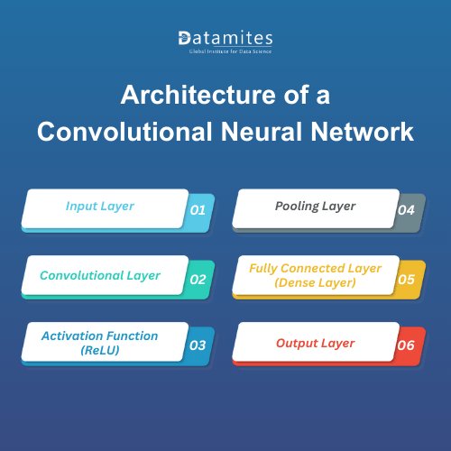 Architecture of a Convolutional Neural Network