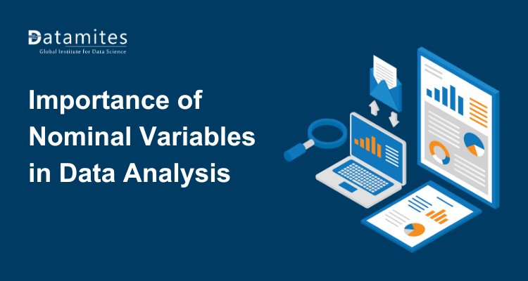 Importance of Nominal Variables in Data Analysis