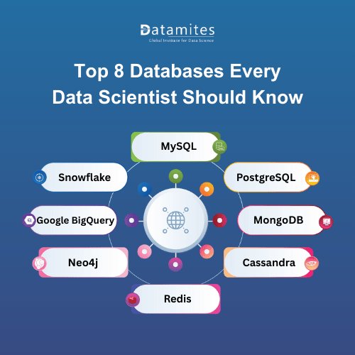 Top 8 Databases Every Data Scientist Should Know