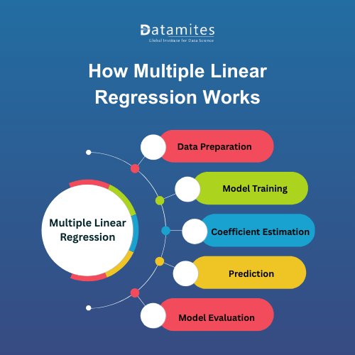 How Multiple Linear Regression Works