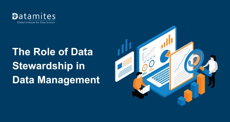 The Role of Data Stewardship in Data Management