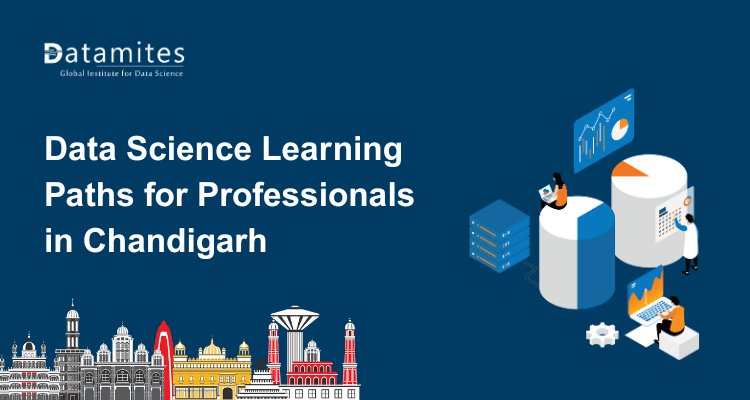 The Best Data Science Learning Paths for Working Professionals in Chandigarh